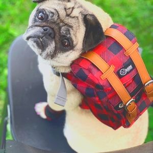 Doggy Backpack | w/ Poop Bag Dispenser | Never Used